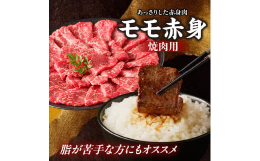 【牛肉】 船小屋牛 モモ赤身 焼肉 【500g】《筑後》【冷凍】