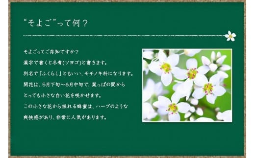 かの蜂 国産 そよご 蜂蜜 300g （瓶） 純粋はちみつ