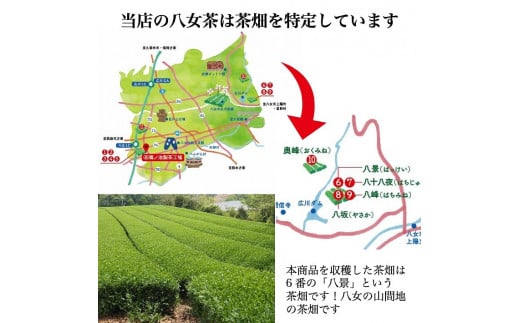 自社製造の深蒸しの抹茶入り八女茶！恋茶100g入り3袋セット