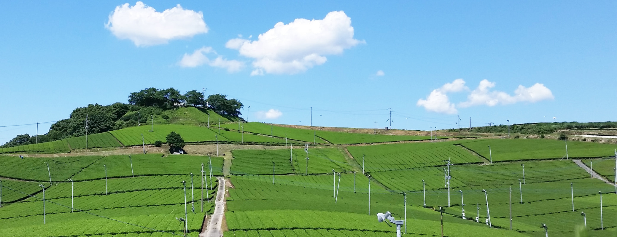 福岡県八女市