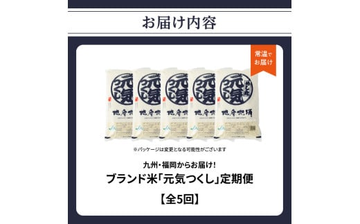 九州・福岡からお届け！ブランド米「元気つくし」定期便【全5回】