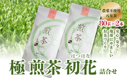 ＜農薬不使用八女茶＞極　煎茶初花詰合せ＜80g×2本＞