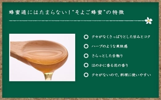 かの蜂 国産そよご蜂蜜【1kg】（とんがりポリ容器）ハーブキャンディーに似た爽快感とコクのある蜂蜜