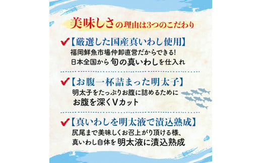 【博多漁師の里】福岡名物！いわし明太子２０尾（５尾×４パック）化粧箱入り　国産真いわし使用