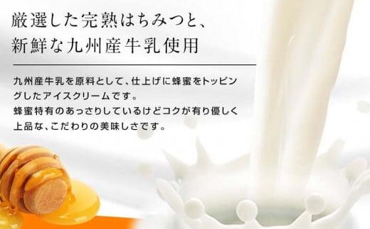 【冷凍】 かの蜂 国産はちみつ アイスクリーム 12個セット （4種×3個） ミルク チョコレート ストロベリー ピスタチオ｜ジェラート 蜂蜜の自然な甘さ＜配送不可：北海道・沖縄・離島＞