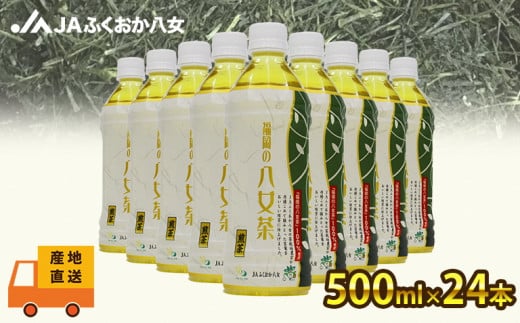 【産地直送】福岡の八女茶 煎茶ペットボトル（500ml×24本）