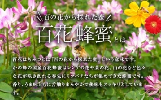 かの蜂 国産百花蜂蜜【1kg】（とんがりポリ容器）養蜂一筋60年自慢の一品