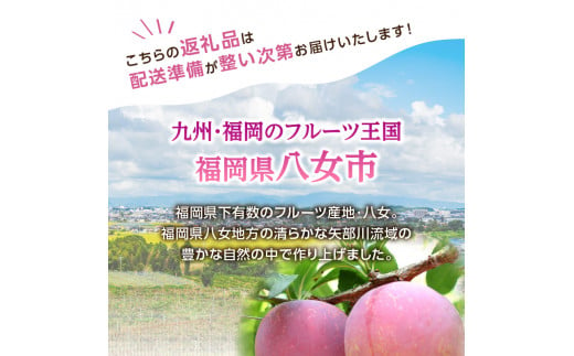 【先行受付】＜福岡のスモモ＞貴陽【1.2kg】【ＪＡふくおか八女】※7月上旬〜発送予定