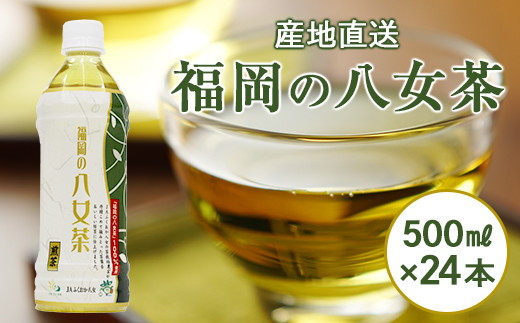 【産地直送】福岡の八女茶 煎茶ペットボトル（500ml×24本）