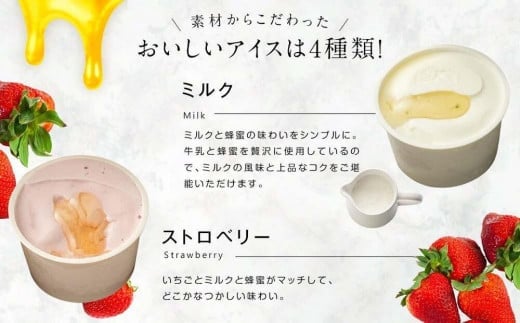 【冷凍】 かの蜂 国産はちみつ アイスクリーム 12個セット （4種×3個） ミルク チョコレート ストロベリー ピスタチオ｜ジェラート 蜂蜜の自然な甘さ＜配送不可：北海道・沖縄・離島＞