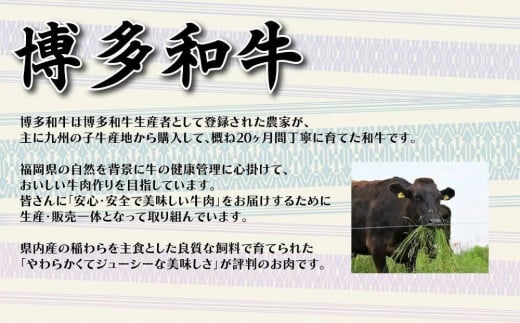 【福岡の国産黒毛和牛】博多和牛の焼肉・BBQお楽しみ定期便【全１２回】