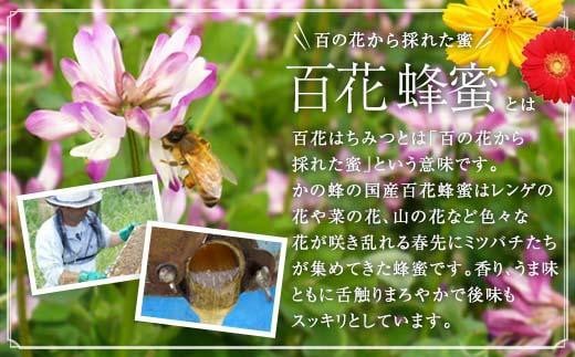 【全3回】 定期便 かの蜂 国産 百花蜂蜜 合計3kg（とんがり容器500gを毎月2本お届け）