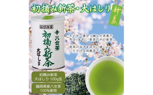 【予約限定茶】希少品「2025年産 初摘み新茶」100g缶詰 ２缶化粧箱入 ギフト対応 ｜2025年5月初旬頃発送