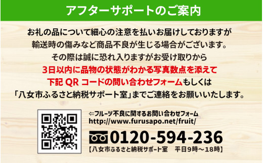 九州・福岡フルーツ王国八女　お試し旬のフルーツ定期便【全２回】 E｜＜配送不可：北海道・沖縄・離島＞