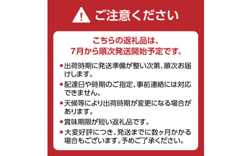 【先行受付】＜福岡のスモモ＞貴陽【1.2kg】【ＪＡふくおか八女】※7月上旬〜発送予定