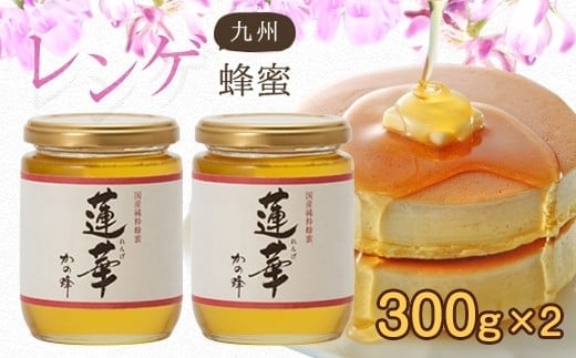 ＜国産＞かの蜂 九州レンゲ蜂蜜【300g×2個】採蜜できる量が少ない貴重な純粋蜂蜜 