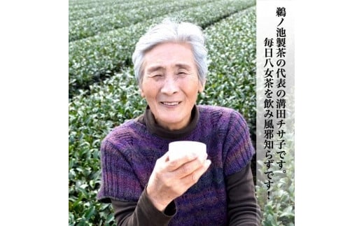 八女茶 抹茶入り水出し緑茶30個入り