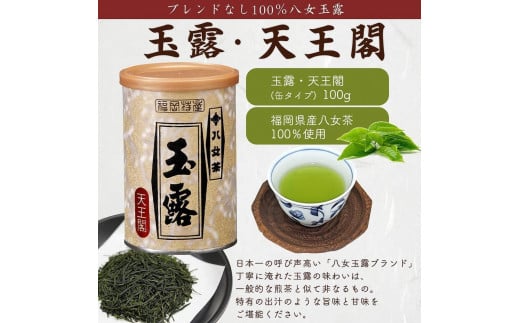 【ギフト対応】八女茶100％ 産地の香りを閉じ込めた最高級茶缶詰５種 各100g 