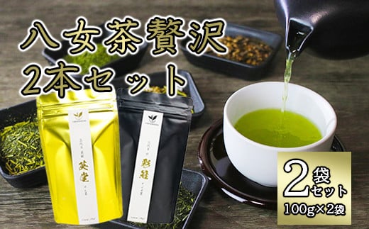 八女茶贅沢2本セット（100g×2袋）