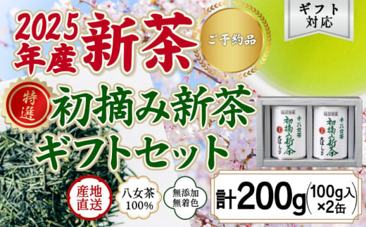 【予約限定茶】希少品「2025年産 特選初摘み新茶」100g缶詰 2缶化粧箱入 ギフト対応｜2025年5月初旬頃発送