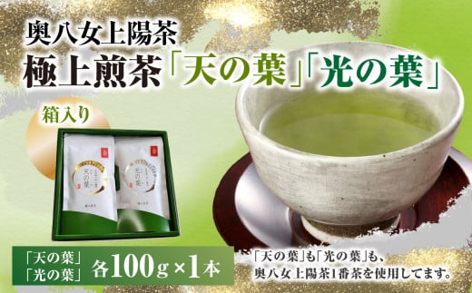 奥八女上陽茶　極上煎茶「天の葉」100ｇ・極上煎茶「光の葉」100ｇセット箱