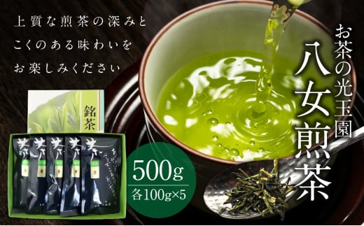 【お茶の光玉園】八女煎茶 100g×5本セット