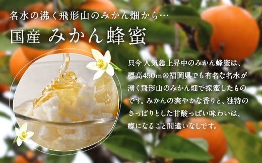 【ギフト用】かの蜂 国産 蜂蜜 ギフト 500g×3本セット（レンゲ 百花 みかん）