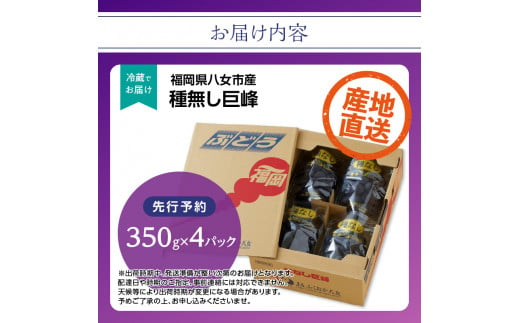 【先行受付】種なし 巨峰 1.4kg（350g×4パック）｜7月上旬〜発送予定