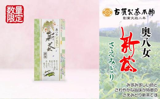 古賀製茶本舗　奥八女新茶　さえみどり煎茶１００ｇ【2024年5月以降発送】 【メール便】