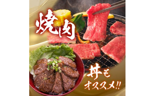 【牛肉】 船小屋牛 モモ赤身 焼肉 【500g】《筑後》【冷凍】