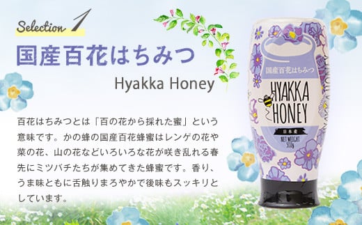 かの蜂 プッシュボトル 蜂蜜 2種 6kg（500g×12本） はちみつ