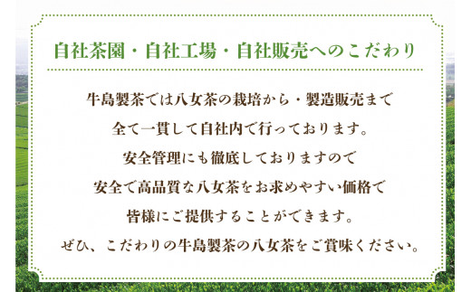 【新茶】【ギフト対応可能】江戸友禅の和モダンな缶に 八女新茶ギフト