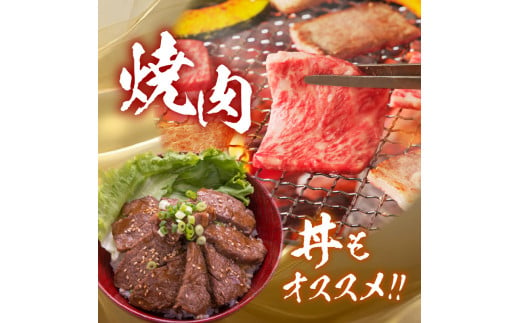 【牛肉】 船小屋牛 肩ロース 焼肉 【500g】《筑後》【冷凍】