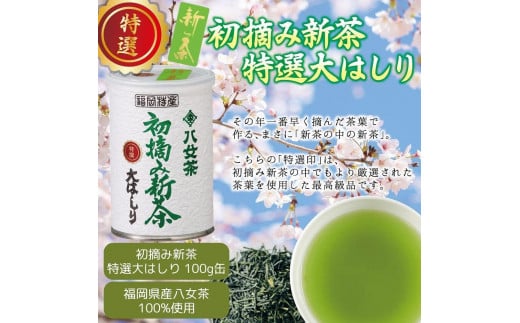 【予約限定茶】希少品「2025年産 特選初摘み新茶」100g缶詰 2缶化粧箱入 ギフト対応｜2025年5月初旬頃発送