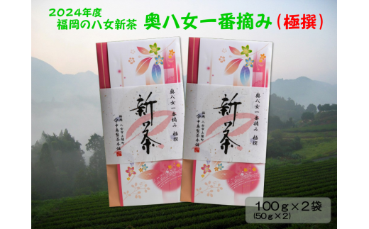 【新茶】ギフト用 八女新茶　一番摘み 極撰（100g×2袋）【2024年5月発送開始】