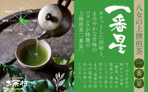 《福岡八女茶》甘味と渋味を兼ね備えた、お茶村 上撰煎茶《一番星》