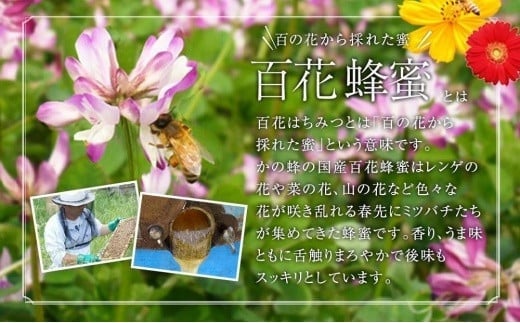 かの蜂 国産 百花 蜂蜜 1.8kg（300g×6本）純粋はちみつ　※エコパックはちみつ90g付き