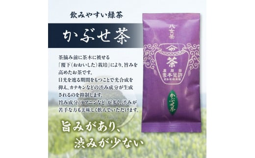 【自宅用日本茶 緑茶】＜八女茶＞許斐本家 玉露白折・かぶせ他 飲み比べ徳用セット