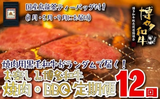 【福岡の国産黒毛和牛】博多和牛の焼肉・BBQお楽しみ定期便【全１２回】