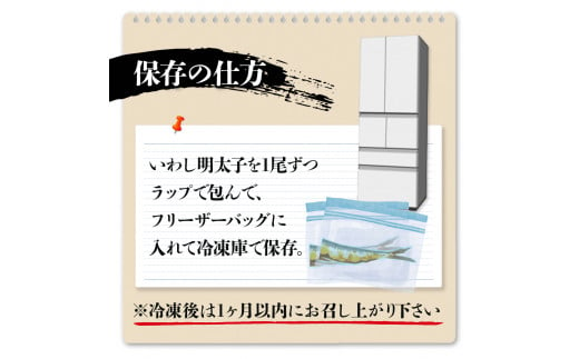 【博多漁師の里】福岡名物！いわし明太子２０尾（５尾×４パック）化粧箱入り　国産真いわし使用