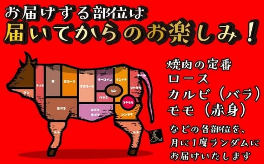 【福岡の国産黒毛和牛】博多和牛の焼肉・BBQお楽しみ定期便【全６回】