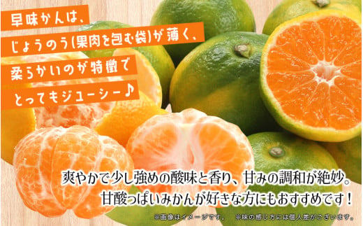 【先行受付】2025年の秋に配送！福岡県オリジナル品種極早生みかん『早味かん』約５kg＜配送不可：北海道・沖縄・離島＞