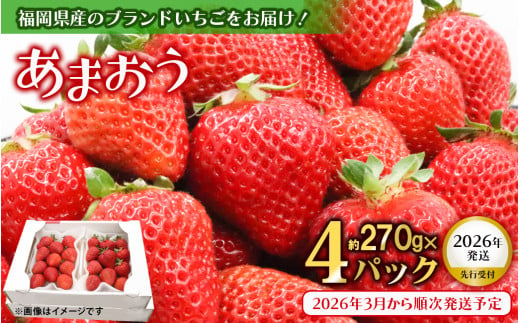 【2025年3月配送開始】福岡・博多名物ブランドいちご「あまおう」 DX（デラックス）4パック 合計約1,080g＜配送不可：北海道・沖縄・離島＞