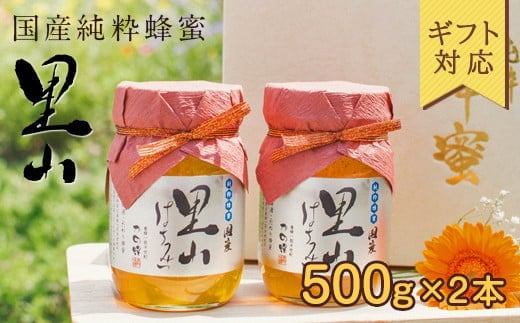 【ギフト用】 かの蜂  国産里山蜂蜜【500g×2本】セット 養蜂一筋60年自慢の一品