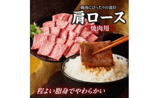 【牛肉】 船小屋牛 肩ロース 焼肉 【500g】《筑後》【冷凍】