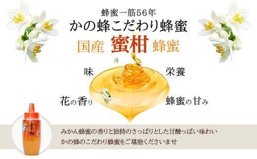 【全3回】 定期便 かの蜂 国産 みかん蜂蜜 合計1.5kg（とんがり容器500gを毎月1本お届け）