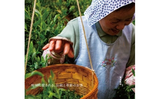 奥八女煎茶セット（八女津媛・媛しずく・媛みやび）100g×3本