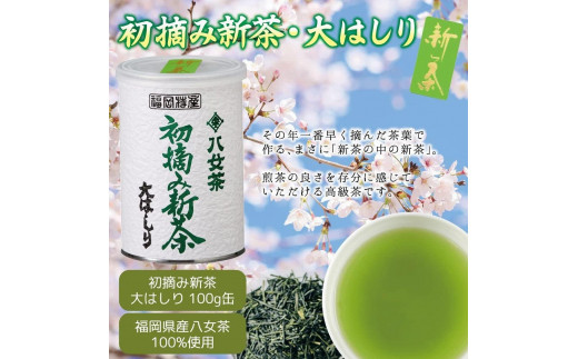 【予約品 ギフト対応】2025年産 八女茶100％新茶 ３種ギフト 100g缶詰 ３缶入｜2025年5月初旬頃発送