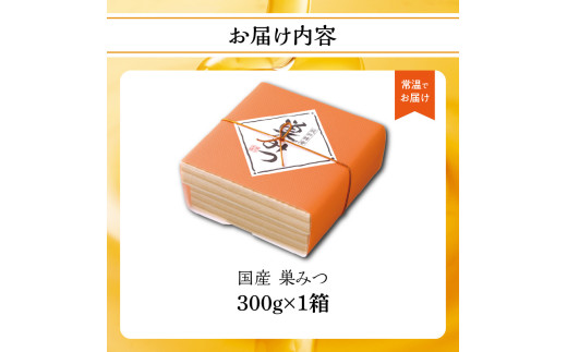 ★先行受付★【2025年7月より順次発送】国産 巣みつ 300ｇ