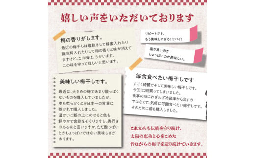 日本一七折小梅 300g（化粧箱入） 梅干し ウメ うめぼし 紫蘇漬け 無添加 ご飯のお供